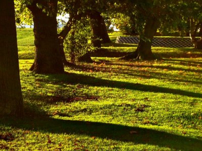 Luminous ground of Queen Elizabeth Hospital, King's Lynn