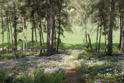 North of Israel