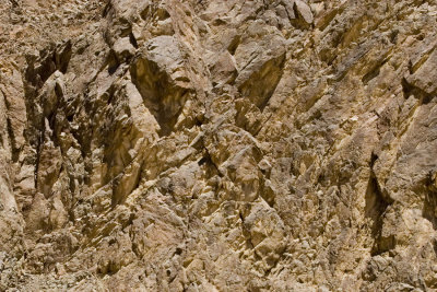 Eilat Mountains and Park Timna