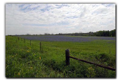 Along Star Hill Rd, near Industry TX