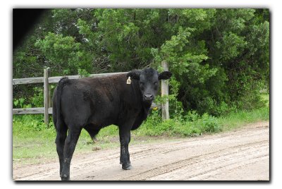 I'm Free, near Industry TX