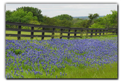Along FM 660, near Bristol TX