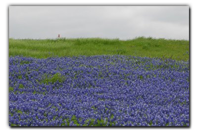 Bluebonnet Vista, Sugar Ridge Rd
