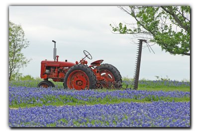 Happy Retirement, near Ennis TX