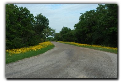 Gold lined street, near Columbus TX
