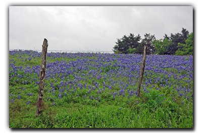 Pilcik Rd, near Industry TX