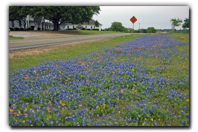 Roadside Blues, Brenham TX