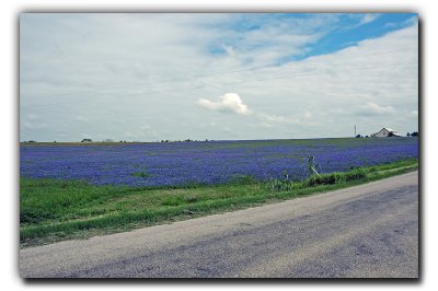 Along Star Hill Rd, near Industry TX