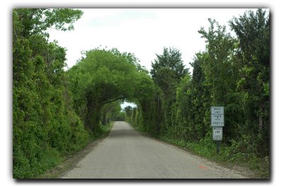 Along FM 660, near Ennis TX