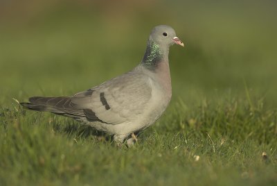 g6/11/619511/3/77545426.UkykjG55.jpg