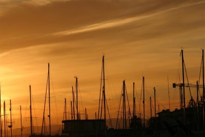 masts and buildings in liquid gold