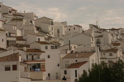 white houses