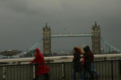 wild windy day
