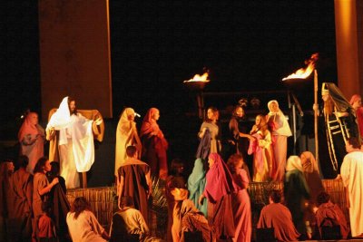 Palm Sunday and Caifas