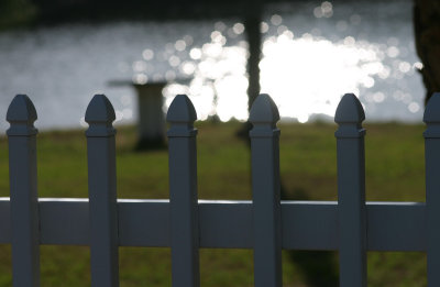 shine and fence