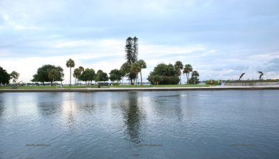 sarasota bayfront park