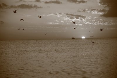 orange afternoon