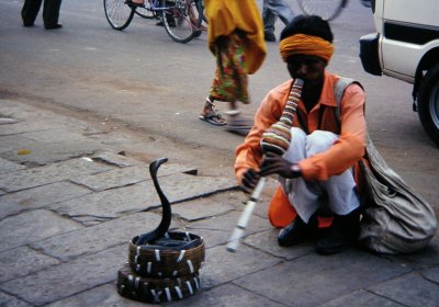 Snake Charmer, Jaipur, India