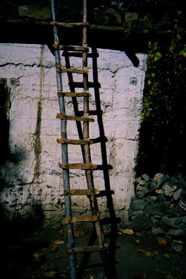 Ladder, Jhargot, Nepal