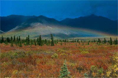 Rainbow and Tundra