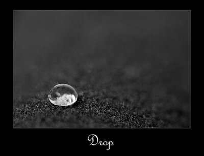 Drop.jpg