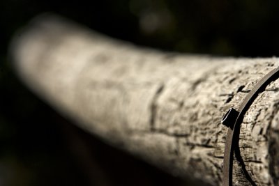 Wood.jpg