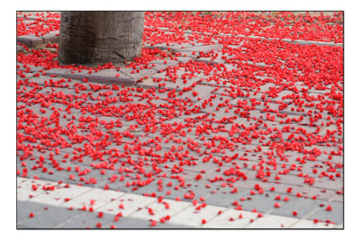 Red copy.jpg