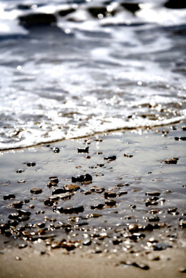Sea2.jpg