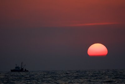 BoatSun.jpg