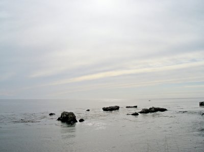 Shell Beach Seascape1.jpg