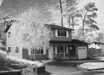 Annes Cambria House - Infra Red.jpg