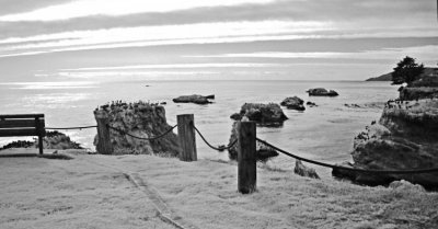 Shell Beach Bird Rock IR - 2.jpg