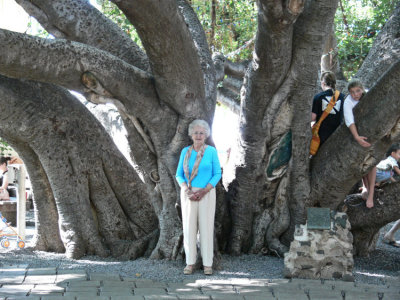 Anne @ Banyon tree - Lahaina 2.jpg