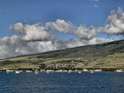 Kona Coast.jpg