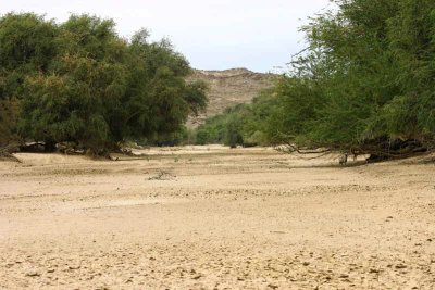 The dry river bed of the Kuiseb at Homeb