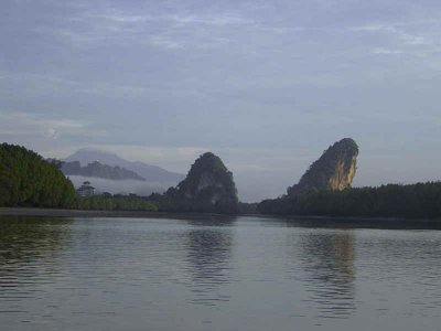 View up river to the limestone cliffs at Krabi, the mangroves we visited are on the right