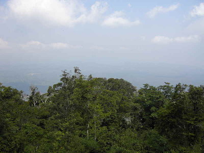View from the highest point in Khao Yai National Park
