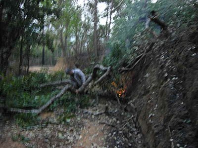The road up to the Den Ya Kat park sub station on Doi Chiang Dao was blocked by a fallen burning tree