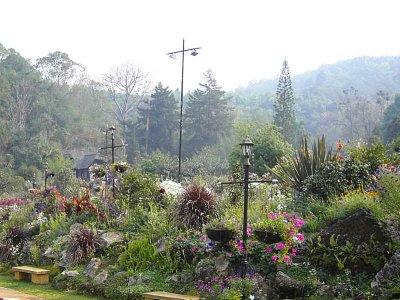 Gardens by the restaurant area at the Doi Ang Khang Royal Project