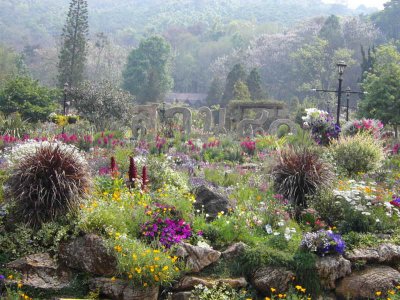 Gardens by the restaurant area at the Doi Ang Khang Royal Project