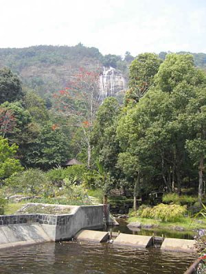 The Siri Bhum waterfall and gardens on Doi Inthanon