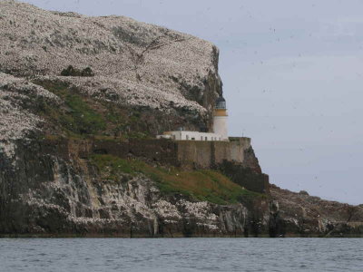 The lighthouse on the Bass Rock
