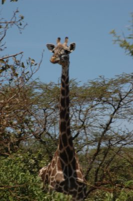 DSC_0236.jpg
