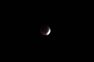 DSC_0370.jpg