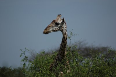 DSC_0068.jpg