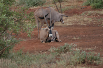 DSC_0338.jpg