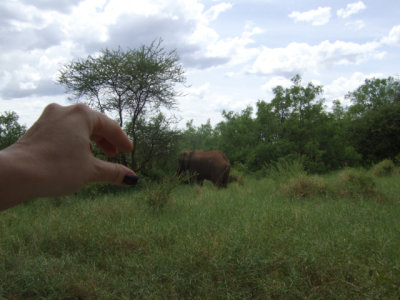 DSCF2616-1.jpg