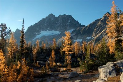 Mt. Stuart and golden glows