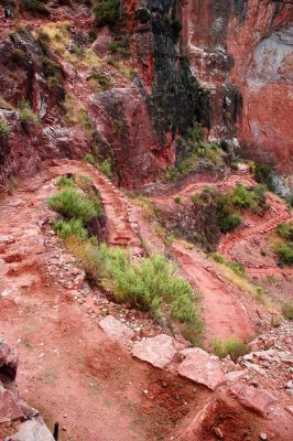 Trail into the Canyon