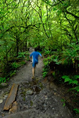 Lynn Canyon